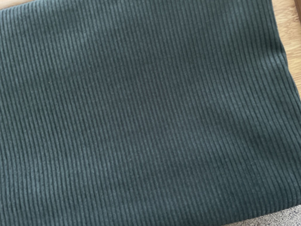 Tissu N°5 – Velours vert
